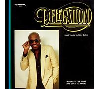 Delegation - Delegation: Where's The Love (We Used To Know) [12" Maxi, ZYX Records 5644]