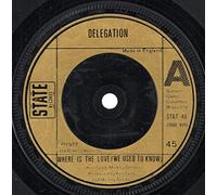 Delegation - Where Is The Love (We Used To Know)