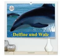Delfine und Wale (hochwertiger Premium Wandkalender 2026 DIN A2 quer), Kunstdruck in Hochglanz: Kluge Köpfe und faszinierende Giganten der Meere