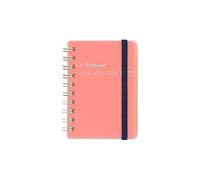 Delfonics Rollbahn Cuadernos Espirales Transparentes: 3 in. x 4 in. (Rosado)