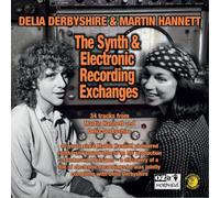 Delia Derbyshire & Martin Hanne The Synth & Electronic Recording Exchang (Vinyl)