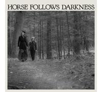 Delia gonzalez - Horse follows darkness