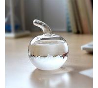 DELIBEST Predictor meteorológico de cristal de tormenta de pájaro, creativo y elegante, estación meteorológica predicadora, botellas de cristal de tormenta, barómetro, decoración de escritorio y