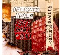 Delicate Awol Vs 40 - Random Blinking Lights
