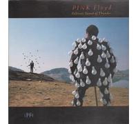 DELICATE SOUND OF THUNDER