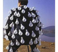 Delicate Sound of Thunder