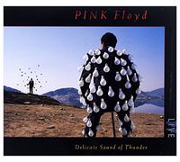 Delicate Sound Of Thunder