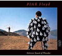 Pink Floyd – Delicate Sound of Thunder – CD – Importación USA