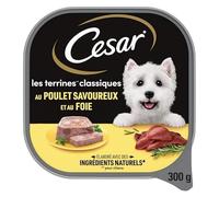 Delicia de César: Paté para Perro con Pollo en Terrina 300g | Receta Sabrosa y Equilibrada | Comida Canina de Calidad - El Juego De 4