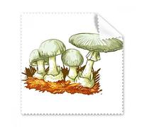 Delicioso limpiador de gamuza con ilustración de seta fresca, 5 piezas de regalo