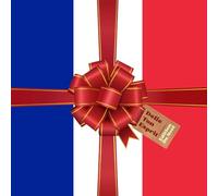 Délie Ton Esprit Édition De Noël: 120 casse-têtes variés : mots mêlés, mots croisés, sudoku, et plus encore