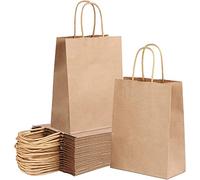 Deliex delicias de Extremadura 50 Bolsas para regalos, bolsas de papel kraft con asas trenzadas, en diferentes tamaños, estas bolsas de papel para tiendas y comercios (22 x 23 x 9 cm, 50 Bolsas)