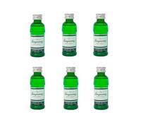 Deliex delicias de Extremadura. Botellitas de Tanqueray miniatura 5 cl - Pack de 6 y 12 botellas (6)