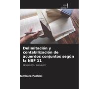 Delimitación y contabilización de acuerdos conjuntos según la NIIF 11: Descripción y evaluación