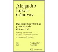 Delincuencia económica y cooperación institucional - Deberes y procedimientos de colaboración de las instituciones nacionales en la persecución de la criminalidad económica. (Cuadernos)