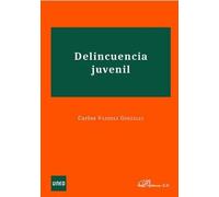 Delincuencia juvenil (SIN COLECCION)