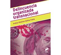 Delincuencia organizada transnacional | Andrea Gimeńez Salinas