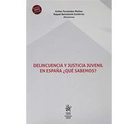 Delincuencia y Justicia Juvenil en España ¿Qué Sabemos?: 1 (Criminología y Política Criminal)