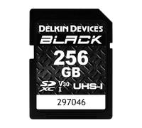 Delkin Devices - Tarjeta de memoria SDXC UHS-I (V30), color negro (128 GB)