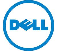 DELL 1TB SAS 7200rpm - Disco Duro (1000 GB, 7200 RPM, Serial Attached SCSI (SAS))