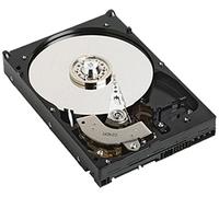 DELL 1TB SATA 7200rpm 1000GB Serial ATA II - Disco Duro (Serial ATA II, Unidad de Disco Duro)