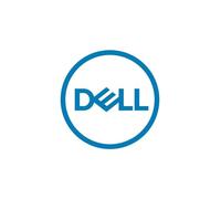 Dell Disco duro interno 161-BBPH 4TB 7200 RPM 3,5 pulgadas NL-SAS 12Gbps