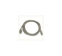 Dell ASSY CBL SCSI TB/OB Term 2800R, 0CJ087