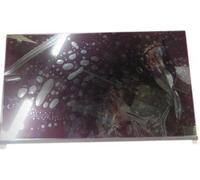 Dell Pantalla Táctil LCD 14 pulgadas FHD Anti-reflejos 300 NITS Interfaz EDP1.3 con Soporte de Montaje para Sistemas Dell