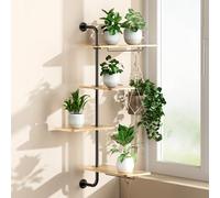 DELLAN Estantes giratorios para plantas de ventana, estante de plantas de 4 niveles para ventana, estante para plantas colgantes de interior montado en la pared, estante para plantas de alféizar de