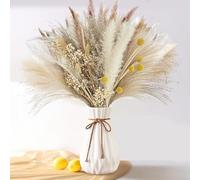 dellyy 40~44cm de Largo Pampas Secas Decoracion, 73 Piezas Ramos de Flores Secas, Pampa Decoración, Flores Secas Decoracion Sala de Estar, Decoración Mesa Boda, Decoración Habitación(A)