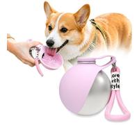 dellyy Botella de Agua Portátil para Perros, 285ml Bebedero Perro de Acero Inoxidable Antifugas con Cuenco Plegable de Silicona, Bebedero para Mascotas, para Pasear, Viajar y Acampar, Rosa