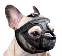 Dellyy Bozal para Bulldog Francés e Inglés - Antimordida, Antiladrido, Antilamido - para Perros de Hocico Corto (M)