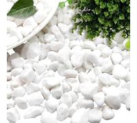 dellyy Decorativas Grava Blanca, 1000g, Pequeñas Grava Blanca, Mini Piedras Decorativas, Pequeños Guijarros Blancos, Mini Canto Rodado Blanco para Macetas, Jardines, Acuarios (500)