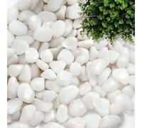 dellyy Decorativas Grava Blanca, 500g, Pequeñas Grava Blanca, Mini Piedras Decorativas, Pequeños Guijarros Blancos, Mini Canto Rodado Blanco, Pequeños para Macetas, Jardines, Acuarios