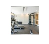 Delma Espejo de Gimnasio en casa, Espejo de Pared sin Marco de 48 x 24 Pulgadas (2 Piezas) para Yoga, Gimnasio en casa, Garaje, Dormitorio, baño