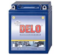Delo Baterías de gel DELO, llena YB12A-A 12V/12AH SAE 145A