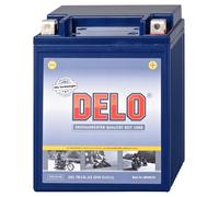 Delo Baterías de gel DELO, llena YB14L-A2 12V/14AH SAE230A