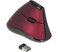 DELOCK 12528 - Ratón (ratón), radio, óptico, vertical