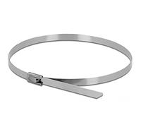 DeLOCK 18631 Acero inoxidable 20pieza(s) presilla - sujección para cables (20 cm, 4,6 mm, 20 pieza(s))