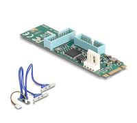 Delock 61066 tarjeta y adaptador de interfaz interno usb 3.2 gen 1 (3.