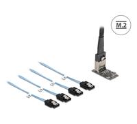 Delock 64260 tarjeta y adaptador de interfaz interno mini-sas