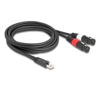 Delock 88176 cable de audio 2 m rj-45 2 x xlr (3-pin) negro