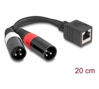 Delock 88179 cable de audio 0,2 m rj-45 2 x xlr (3-pin) negro