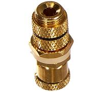 Delock Adaptador de Audio de Terminal a Terminal de Terminal para empotrar, Color Negro