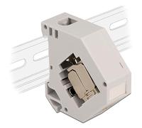 Delock Adaptador de Carril DIN con módulo Keystone RJ45 Hembra Cat.6A LSA