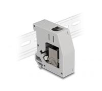 Delock Adaptador de riel con módulo Keystone RJ45 Hembra a RJ45 Hembra Cat.6A