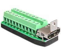Delock adapter hdmi female > terminal block 20pin