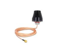 DELOCK Antena LTE SMA Macho 2 dBi rígido omnidireccional con Cable de conexión RG-316U de 3 m para Exteriores, Color Negro