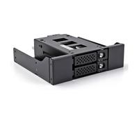 DeLOCK Bandeja Móvil para 2 Discos U.2 NVMe SSD 2.5" con Marco de 5.25", Micro SAS, SATA, Metal Negro, para Bahía Delgada