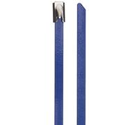 Delock Bridas de Acero Inoxidable (200 x 4,6 mm, 10 Unidades), Color Azul
